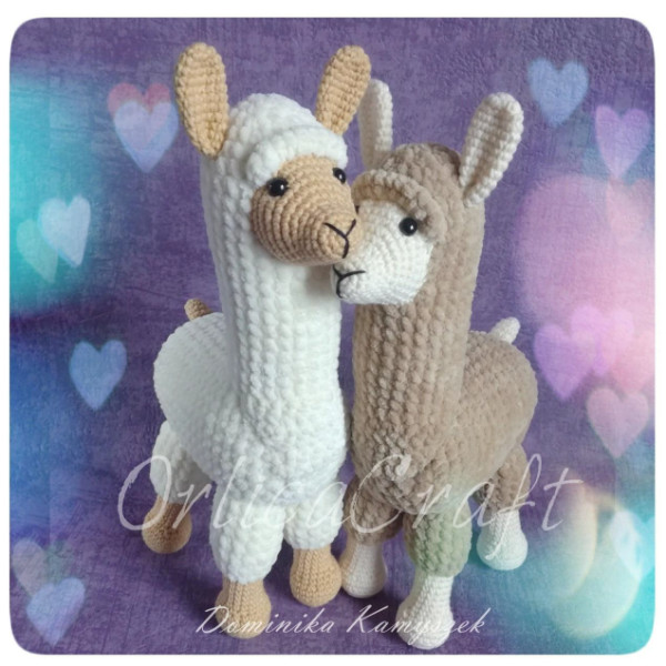 Альпака, лама. Llampaca